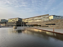 {title}