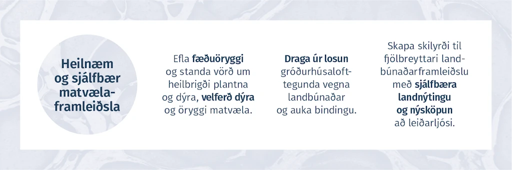 HEILNÆM OG SJÁLFBÆR MATVÆLAFRAMLEIÐSLA  -  Efla fæðuöryggi og standa vörð um heilbrigði plantna og dýra, velferð dýra og öryggi matvæla.	Draga úr losun gróðurhúsaloft-tegunda vegna landbúnaðar og auka bindingu.	Skapa skilyrði til fjölbreyttari landbúnaðar- framleiðslu með sjálfbæra landnýtingu og nýsköpun að leiðarljósi.