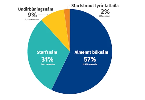 Nemendasamsetning í framhaldsskólum haustið 2020.