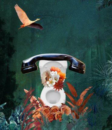 Samsett mynd: WorldToiletDay