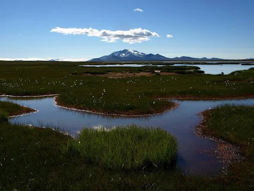 Horft að Snæfelli.