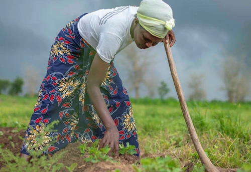 Ljósmynd: UN Women/Bennie Khanyizira