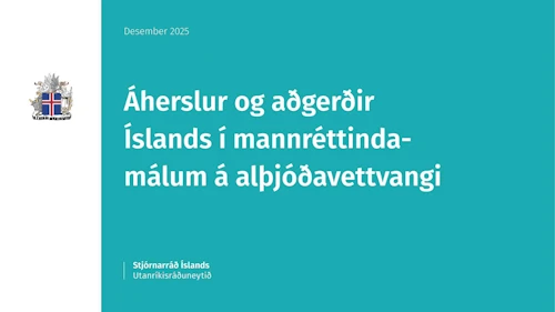 Titill á skýrslu: Áherslur og aðgerðir Íslands í mannréttindamálum á alþjóðavettvangi