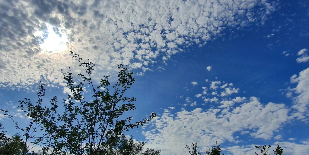 {image.Description}