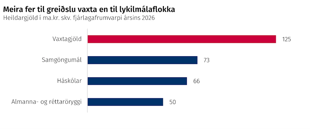 Meira fer til greiðslu vaxta en til lykilmálaflokka