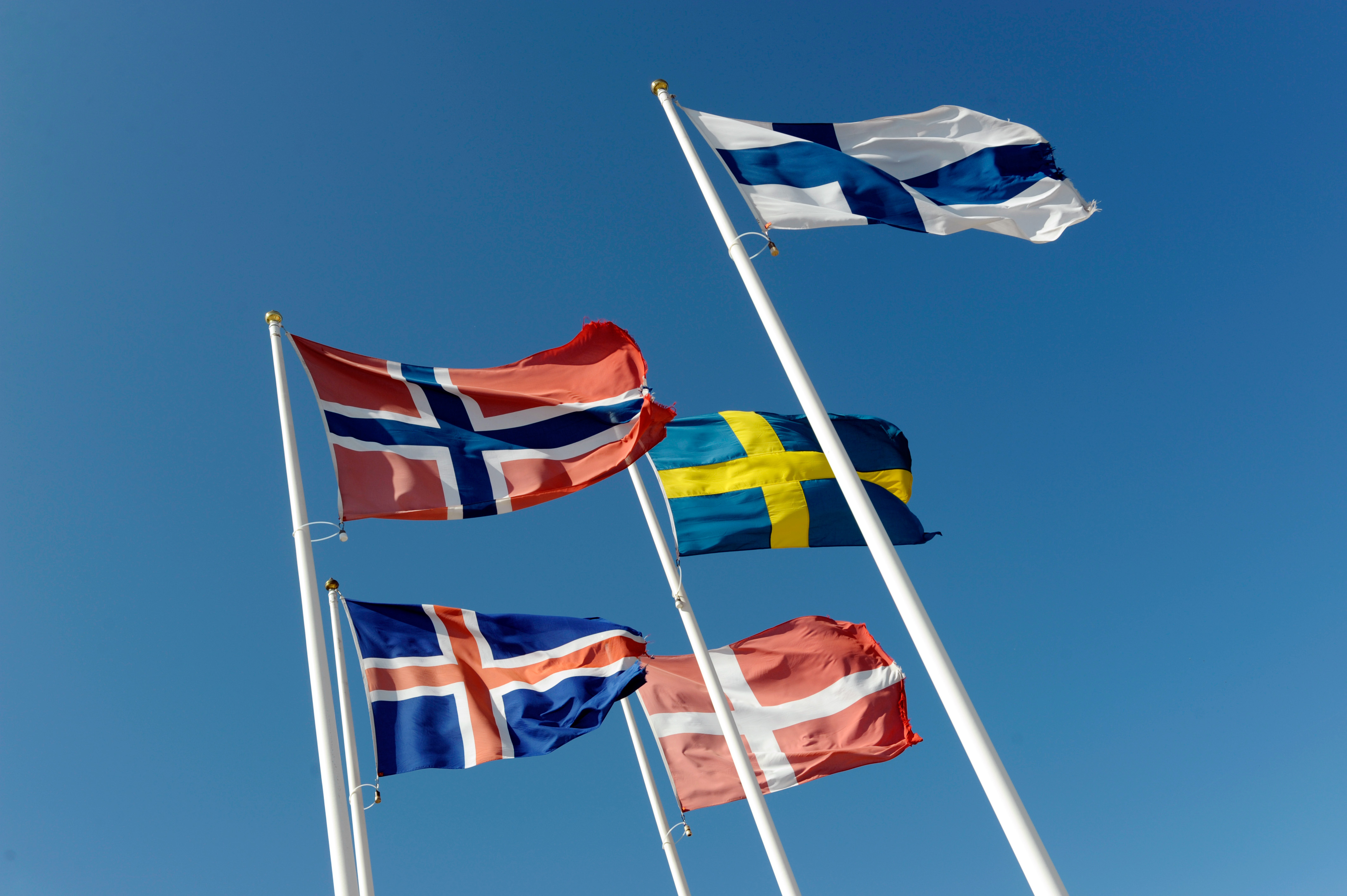 Nýr vefur um norrænt tengslanet um nám fullorðinna